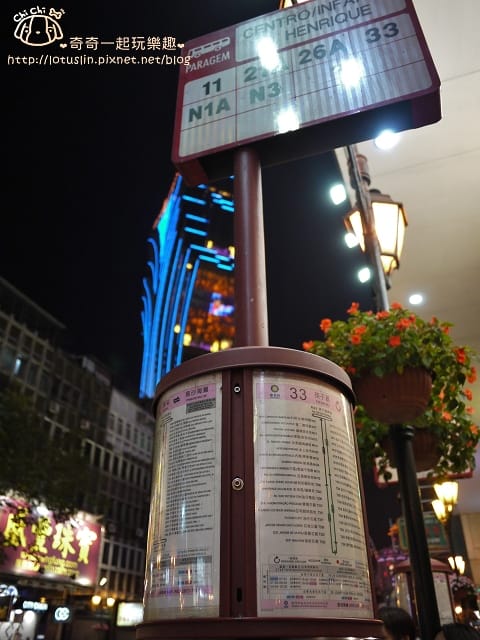 P1330575.jpg