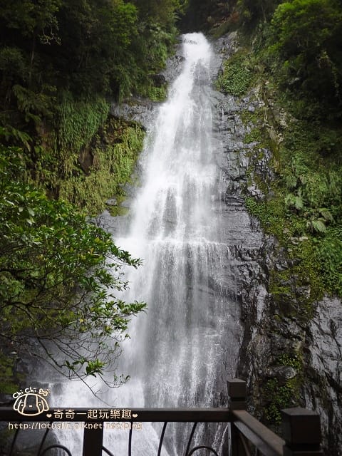 P1480346.jpg