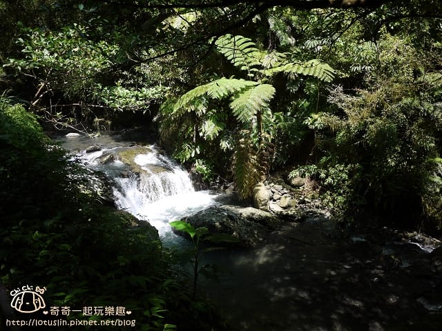 P1480484.jpg