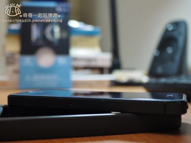 P1460481.jpg