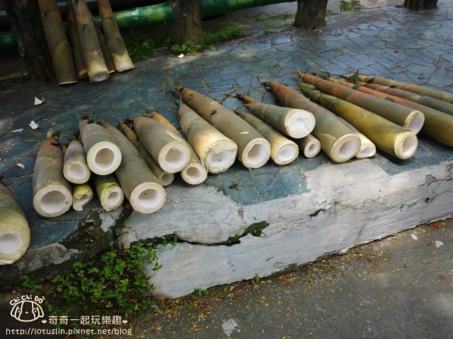P1450927.jpg