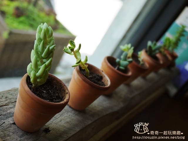 P1450867.jpg