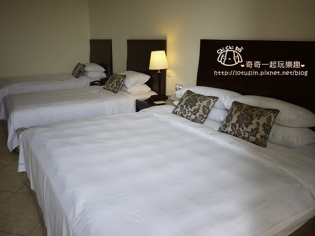 P1350325.jpg