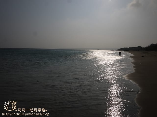 P1350454.jpg