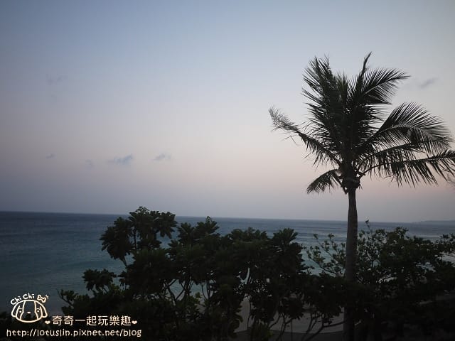 P1350538.jpg