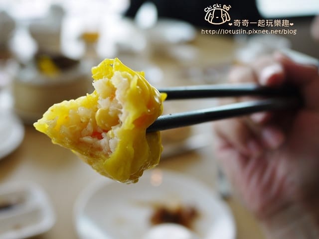 P1430564.jpg
