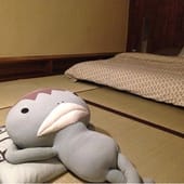 10544342_788150207891919_7184698087932213845_n.jpg 10544342_788150207891919_7184698087932213845_n.jpg