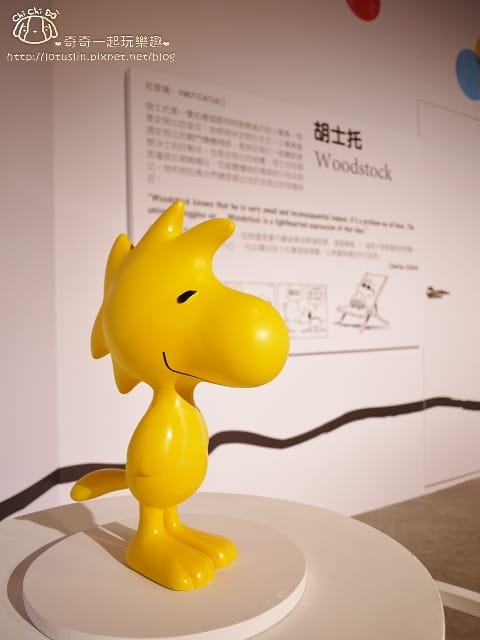 P1410683.jpg
