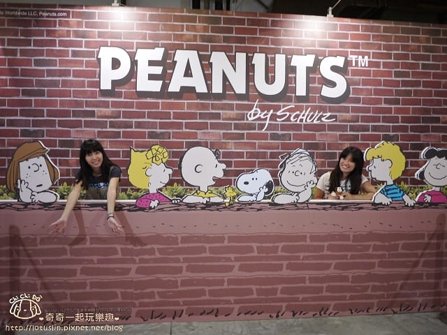 P1410729.jpg