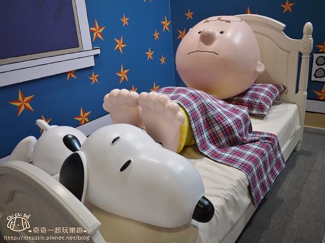P1410799.jpg