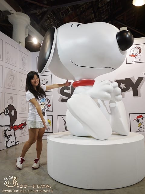 P1410813.jpg