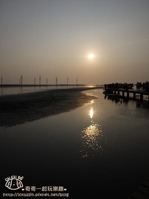 P1360453.jpg