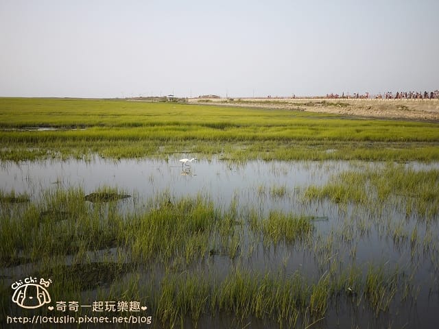 P1360443.jpg