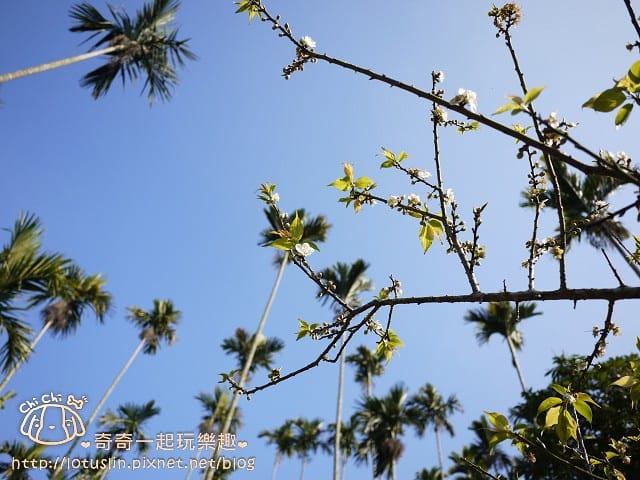 P1310012.jpg