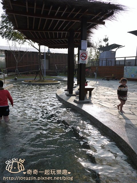 P1310065.jpg