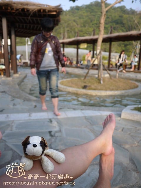 P1310071.jpg