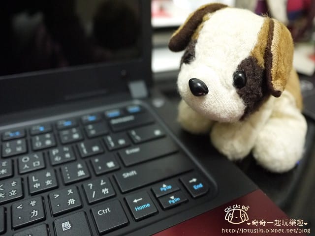 P1310150.jpg