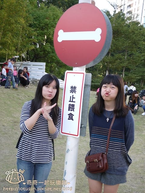 P1280669.jpg