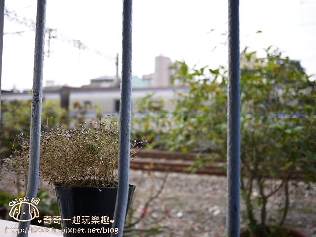 P1300459.jpg