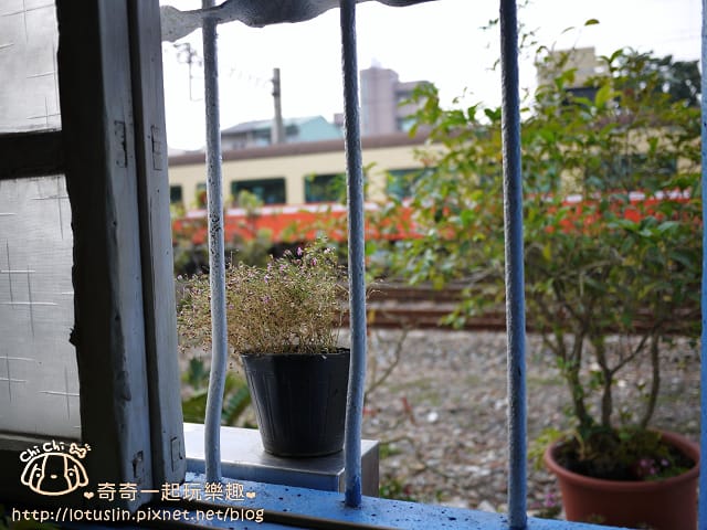 P1300471.jpg