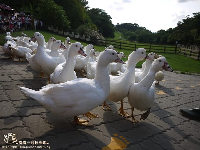 P1240231.jpg