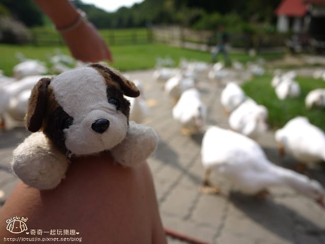 P1240247.jpg
