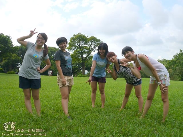 P1170981.jpg