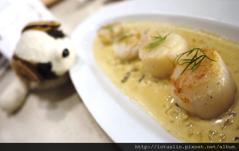 P1240803(001).jpg P1240803(001).jpg