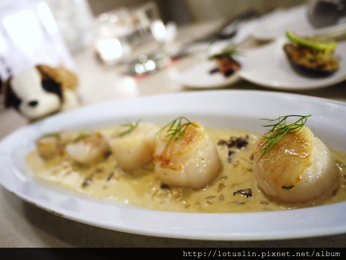 P1240796.jpg P1240796.jpg