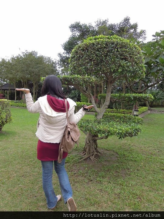 DSCN9529 DSCN9529