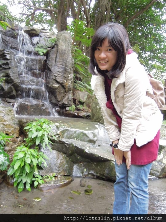 DSCN9568 DSCN9568