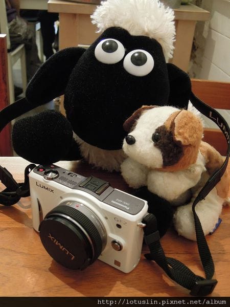 DSCN0076(001)(001).jpg DSCN0076(001)(001).jpg