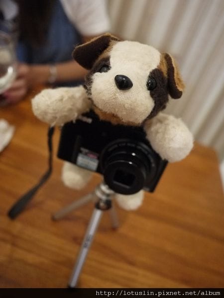 P1020113.jpg P1020113.jpg