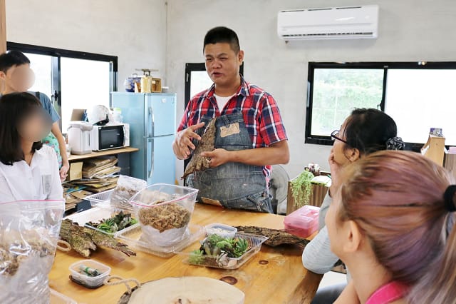 桃園｜荳荳．多肉植物與小雜貨 多肉農場．多肉DIY手作課程