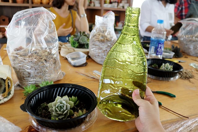 桃園｜荳荳．多肉植物與小雜貨 多肉農場．多肉DIY手作課程
