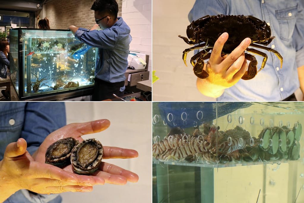 台北|鮨一の鍋 頂級現撈活鮑魚/螃蟹.海陸火鍋推薦 - 第5張圖 台北|鮨一の鍋 頂級現撈活鮑魚/螃蟹.海陸火鍋推薦