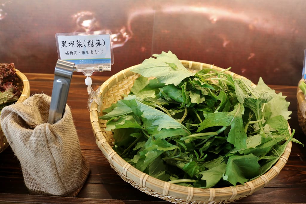 台南｜藝術轉角 東東蔬食鍋 呷菜啦！台南蔬食火鍋推薦