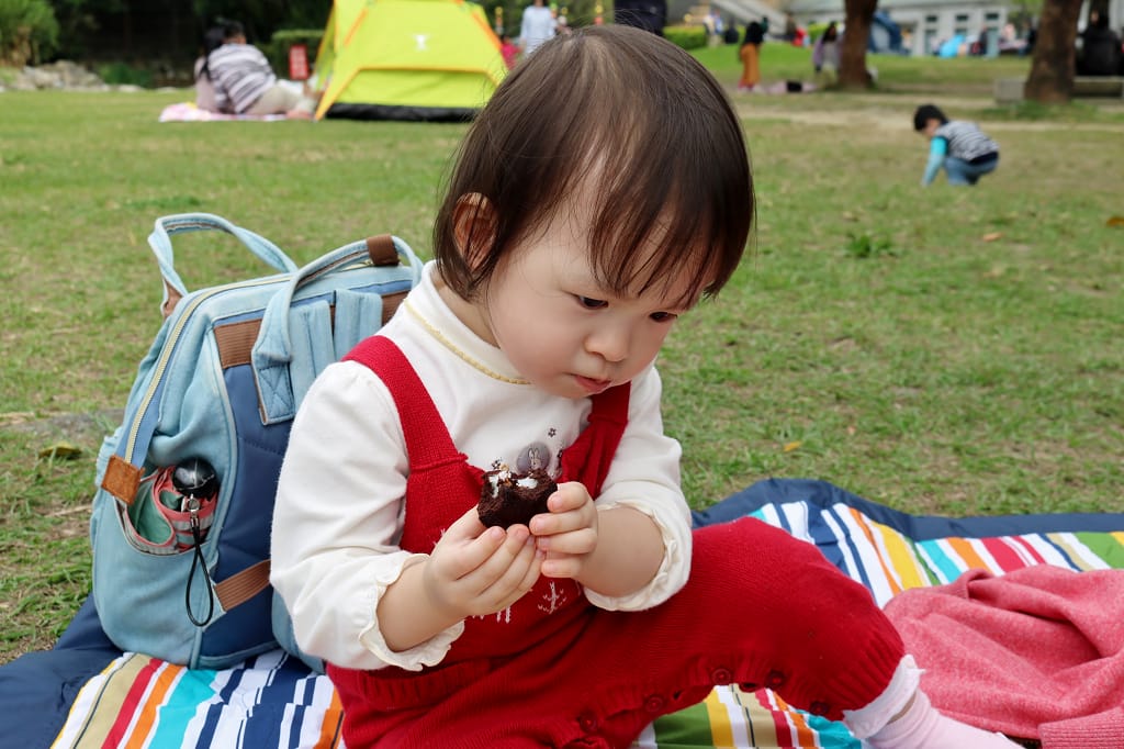 宅配｜杏芳食品 季節限定草莓乳酪球．QQ布朗尼 桃園大溪老街必買推薦！