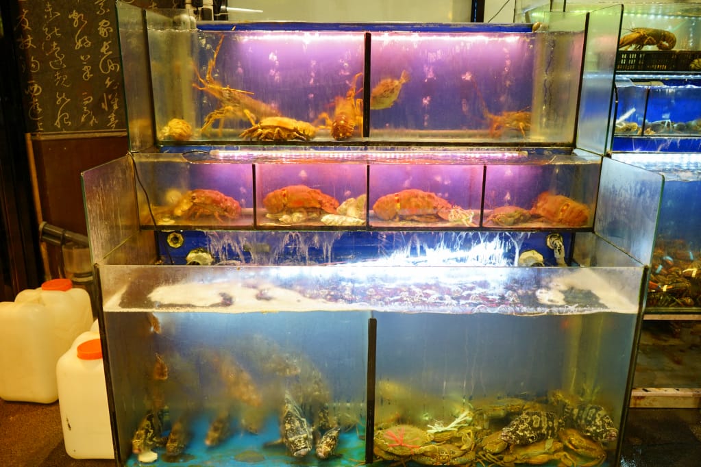 台北|蒸翻天海鮮蒸氣火鍋 林口海鮮餐廳 痛風鍋,請小心服用! - 第5張圖 台北|蒸翻天海鮮蒸氣火鍋 林口海鮮餐廳 痛風鍋,請小心服用!