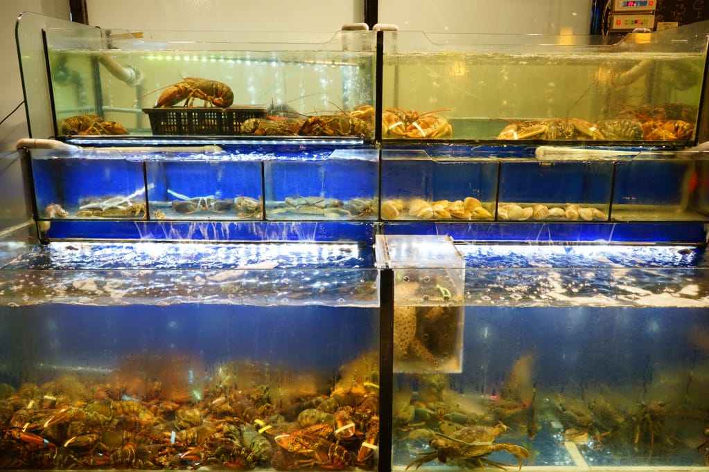 台北|蒸翻天海鮮蒸氣火鍋 林口海鮮餐廳 痛風鍋,請小心服用! - 第6張圖 台北|蒸翻天海鮮蒸氣火鍋 林口海鮮餐廳 痛風鍋,請小心服用!