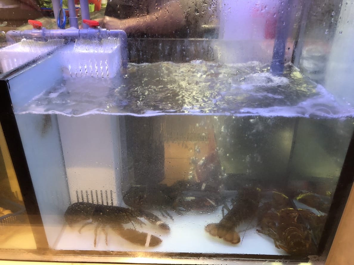 台北|天鍋宴(西湖店) 超澎湃海鮮火鍋.內湖火鍋推薦! - 第6張圖 台北|天鍋宴(西湖店) 超澎湃海鮮火鍋.內湖火鍋推薦!