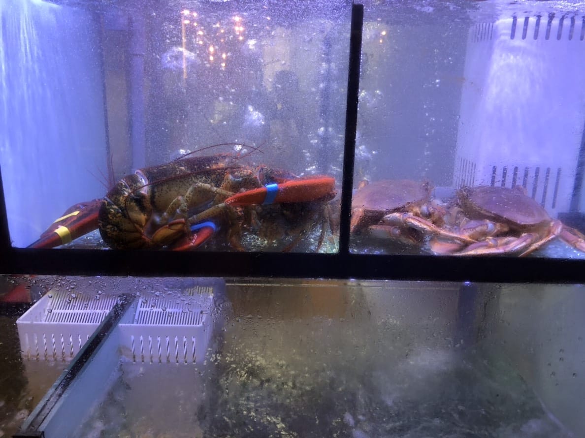 台北|天鍋宴(西湖店) 超澎湃海鮮火鍋.內湖火鍋推薦! - 第5張圖 台北|天鍋宴(西湖店) 超澎湃海鮮火鍋.內湖火鍋推薦!