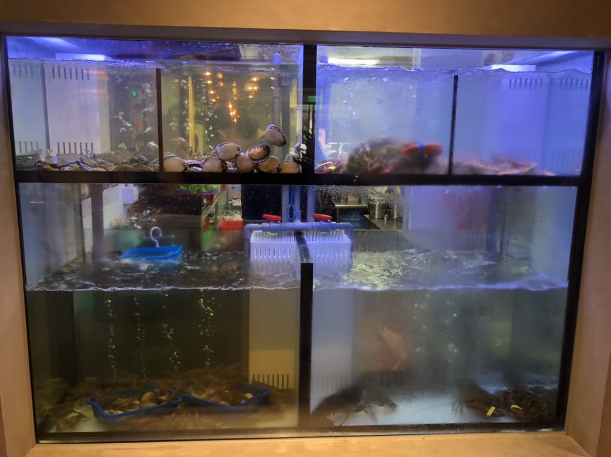 台北|天鍋宴(西湖店) 超澎湃海鮮火鍋.內湖火鍋推薦! - 第4張圖 台北|天鍋宴(西湖店) 超澎湃海鮮火鍋.內湖火鍋推薦!