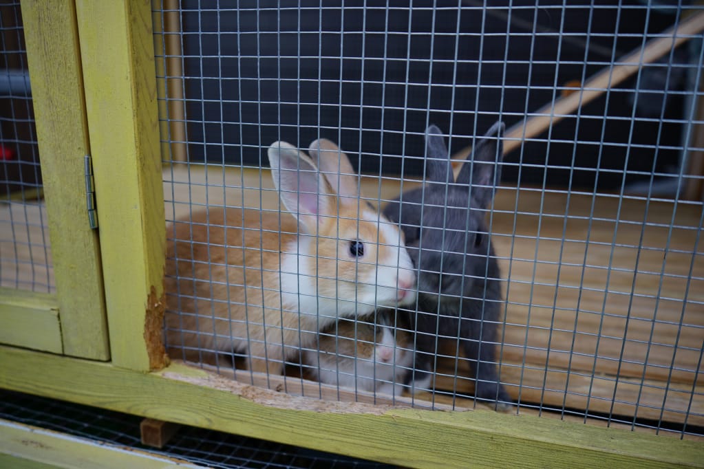 台北｜五股新成屋建案 洲子洋晴空SKY1 茂德建設水岸輕豪宅！