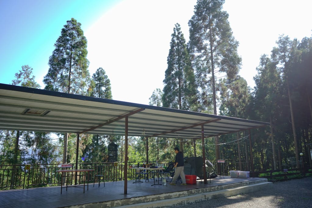 新竹|五峰巴棍杉林露營區 大雨棚營位,杉樹下露營趣! - 第4張圖 新竹|五峰巴棍杉林露營區 大雨棚營位,杉樹下露營趣!