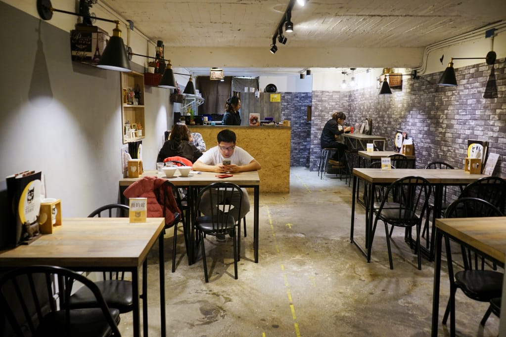台北｜黑邦廚房 多肉植物可以吃?! 連貓咪也吃下肚，三重超可愛創意甜點！