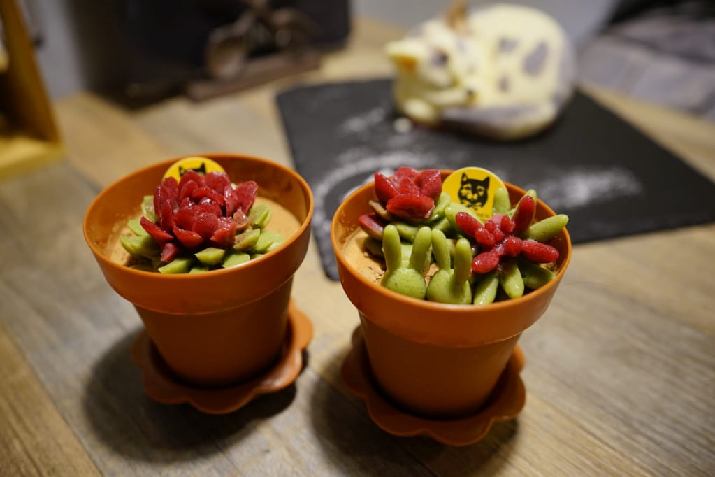 台北｜黑邦廚房 多肉植物可以吃?! 連貓咪也吃下肚，三重超可愛創意甜點！