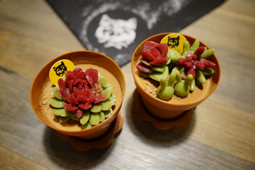 台北｜黑邦廚房 多肉植物可以吃?! 連貓咪也吃下肚，三重超可愛創意甜點！