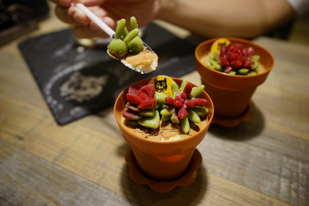 台北｜黑邦廚房 多肉植物可以吃?! 連貓咪也吃下肚，三重超可愛創意甜點！
