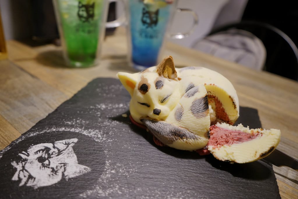 台北｜黑邦廚房 多肉植物可以吃?! 連貓咪也吃下肚，三重超可愛創意甜點！